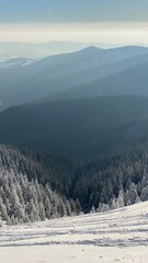 Panorama ze Śnieżnika © Wiktoria