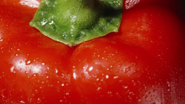 Red Bell pepper macro top view. Green peduncle and water droplets.