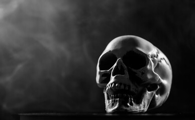 Human skull in smoke on a black background. Halloween. Monochrome.