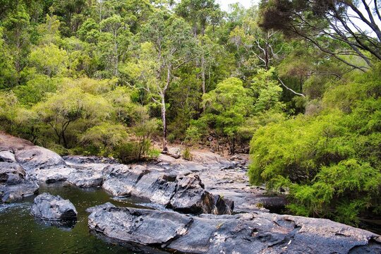 Steep, rocky riverbed in a dense forest: the Lefroy Brook in the karri forest of Gloucester National Park near Pemberton, Western Australia
