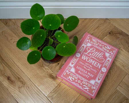 Hardback of "Little Women" by Louisa May Alcott on a parquet floor next to a pilea plant in a pot