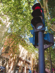 スペイン　マヨルカ島のボルン通りの信号