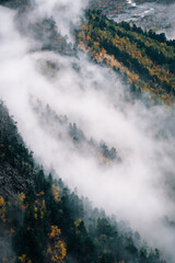 View of the valley and autumn foggy yellow-green forest