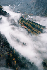 View of the valley and autumn foggy yellow-green forest