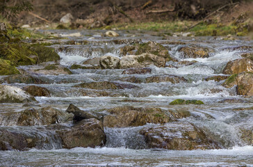 Bach mit Steinen und sprudelnden Wasser