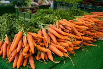 Karotten auf dem Markt