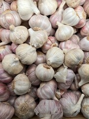 Close up of garlic