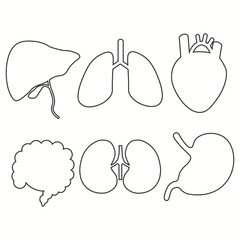 Fototapeta premium Human organs icon set outlines. Vector