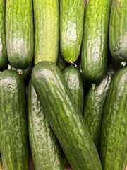 Cucumbers close up
