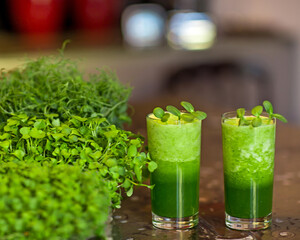 Two glasses of sprouted pea seed, sunflower flax seed and vegetable smoothie are freshly prepared and sit on the kitchen table next to live sprouts.