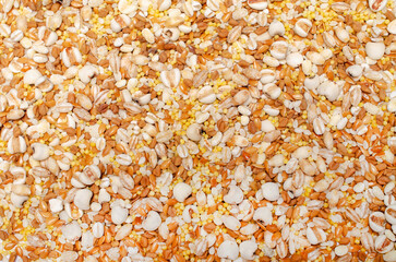 Variety cereal and grain seed background consisted of job's tear, flaxseed, barley, sesame, fenugreek, and millet
