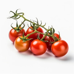 Tomatoe on a Branch Isolated White Background