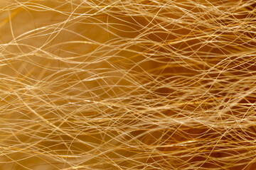 Red or brown dog hair fur, extreme close-up macro view, abstract hair background