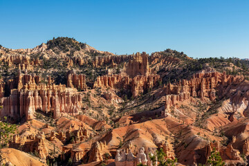 Panoramic aerial view on sandstone rock formations on Navajo Rim hiking trail in Bryce Canyon National Park, Utah, UT, USA. Looking at pine tree forest and hoodoo rocks in unique natural amphitheatre