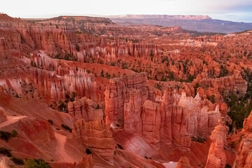 Panoramic morning sunrise view on sandstone rock formations on Navajo Rim hiking trail in Bryce Canyon National Park, Utah, UT, USA. Golden hour colored hoodoo rocks in unique natural amphitheatre