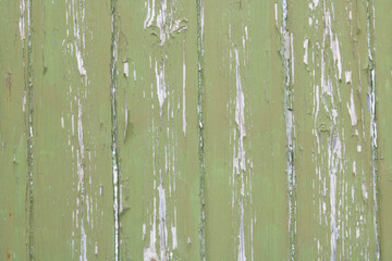 Dull green vertical panelled wood with peeling paint and space for copy
