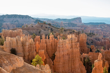 Panoramic morning sunrise view on sandstone rock formations on Navajo Rim hiking trail in Bryce Canyon National Park, Utah, UT, USA. Golden hour colored hoodoo rocks in unique natural amphitheatre