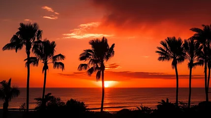 Deurstickers A fiery red and orange sunset over the ocean, with palm trees silhouetted against the sky. © Valentin