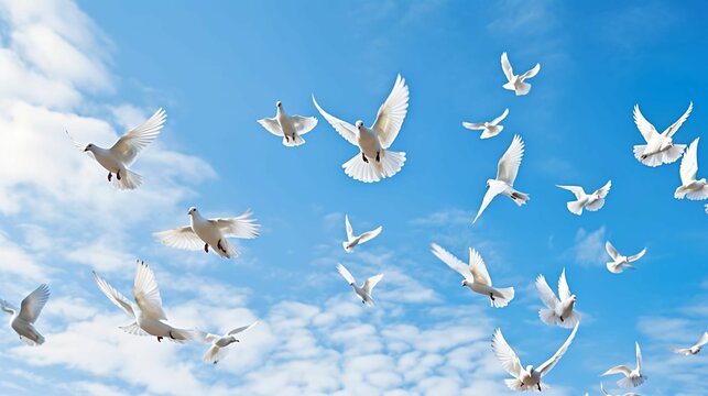 A flock of white doves in flight against a bright blue sky.