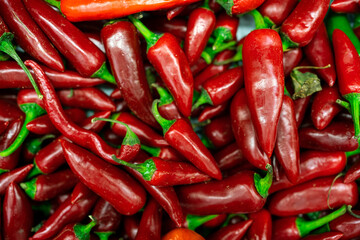 Lots of red pepper as a background. Vegetable background