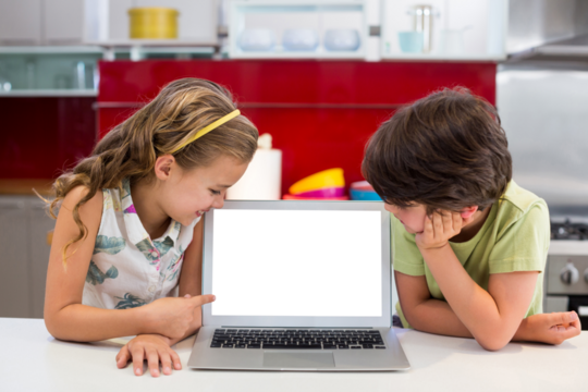 Smiling siblings looking at laptop