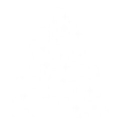 Decorated christmas tree