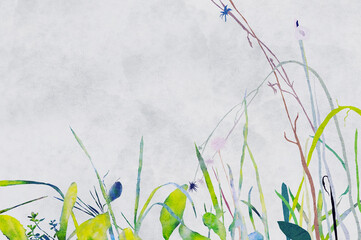 Ilustracja grafika kompozycja roślinna, trawy i kwiaty na jasnym tle, szablon. - obrazy, fototapety, plakaty