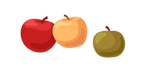 Fresh apples composition. Ripe fruits of different color. Healthy vitamin organic food, sweet whole natural sweet and sour eating. Flat cartoon vector illustration isolated on white background