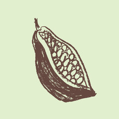 Cocoa bean icon. Hand drawn sketch vector Cacao beans. Leaves of  Cocoa bean isolated. Sign of Bean to bar cacao. Organic product doodle for cafe, shop, menu. Plant part for label, logo, sign, symbol.