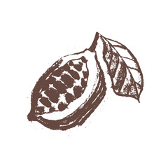 Cocoa bean icon. Hand drawn sketch vector Cacao beans. Leaves of  Cocoa bean isolated. Sign of Bean to bar cacao. Organic product doodle for cafe, shop, menu. Plant part for label, logo, sign, symbol.