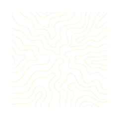Topography Pattern Lines