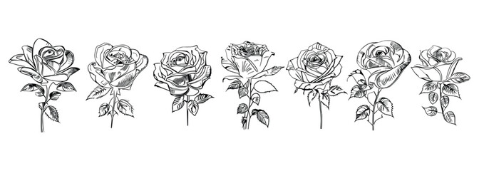 Different style Seven Roses Coloring Book showcases seven distinct roses.