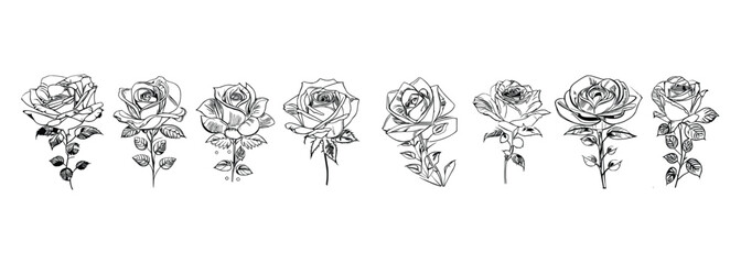 The Eight Roses Coloring Book showcases eight distinct roses, each with its unique design, portrayed through captivating illustrations.