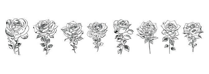 The Eight Roses Coloring Book showcases eight distinct roses, each with its unique design, portrayed through captivating illustrations.