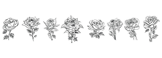 The Eight Roses Coloring Book showcases eight distinct roses, each with its unique design, portrayed through captivating illustrations.