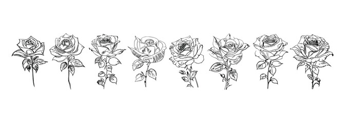 The Eight Roses Coloring Book showcases eight distinct roses, each with its unique design, portrayed through captivating illustrations.