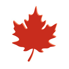 Maple Leaf Icon Symbol Vector Illustration