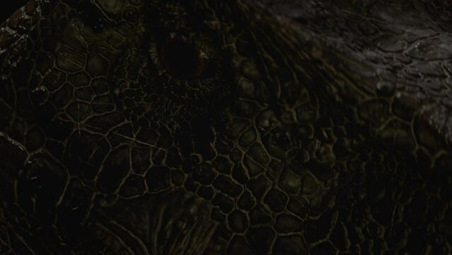 ECU Shot of a dinosaur tyrannosaurus t-rex eye looking into camera. Realistic 3d rendering