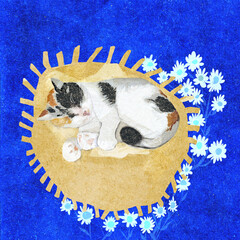 Ilustracja kot szylkretowy śpiący na kocu niebieskie tło białe kwiaty. - obrazy, fototapety, plakaty