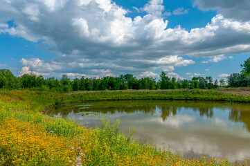 Water Retention Pond In Summer Surrounded By Wildflowers