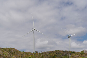 Panoramic view of a wind farm or wind farm with tall wind turbines to generate electricity. Green energy concept.