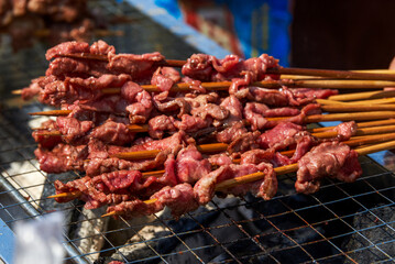 A person is grilling meat skewers in a picnic camping, delicious and tempting barbecue