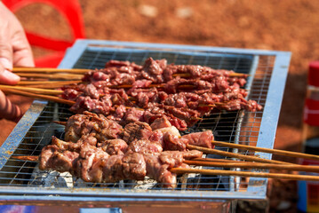 A person is grilling meat skewers in a picnic camping, delicious and tempting barbecue