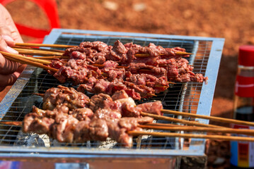 A person is grilling meat skewers in a picnic camping, delicious and tempting barbecue