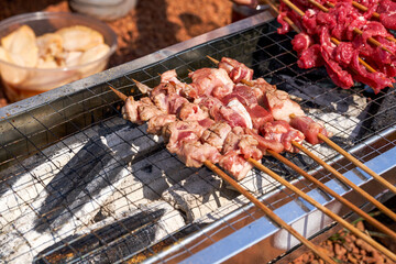 A person is grilling meat skewers in a picnic camping, delicious and tempting barbecue