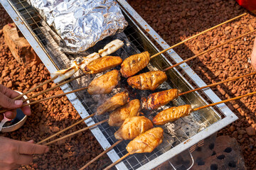 A person is grilling meat skewers in a picnic camping, delicious and tempting barbecue