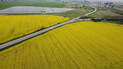 Tutto giallo colza