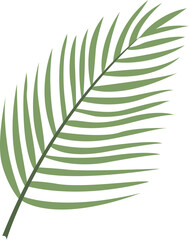 Fototapeta premium Tropical Leaf