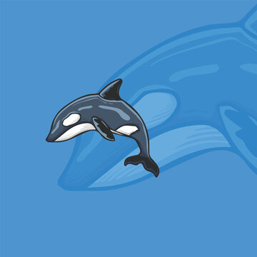 snapper bass fish illustration for logo and tshirt design