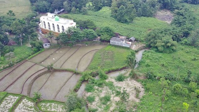 Aerial view of a ship mosque in the middle of rice fields in Ngaliyan village, Semarang, Indonesia